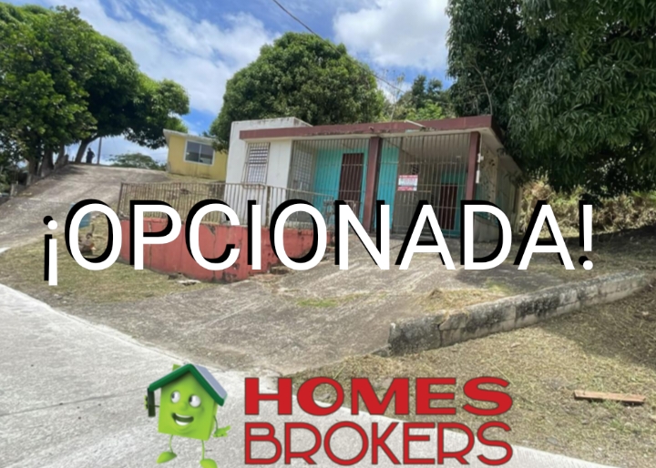 CM_Photogrid_1763078952150