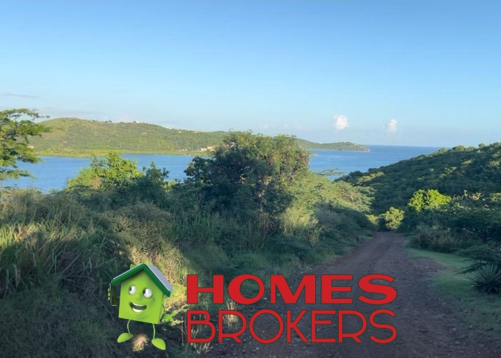 CM_Photogrid_1762384024978