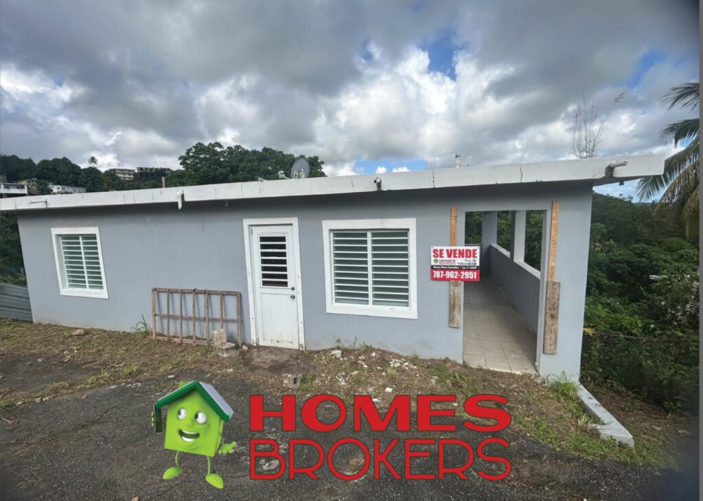 CM_Photogrid_1761932706426